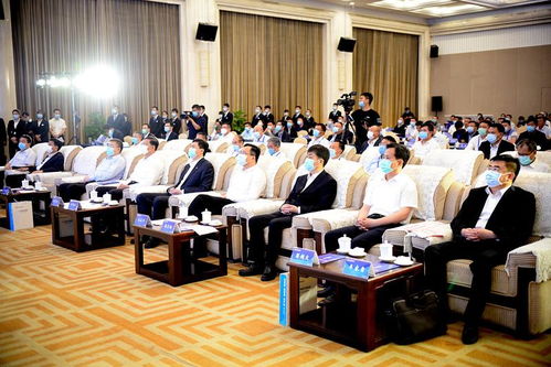 济宁港航发展集团正式揭牌 携手物流行业协会共筑区域航运新篇章