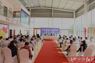 红河州物流行业协会正式成立，开启区域物流发展新篇章